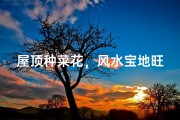屋顶种菜花，风水宝地旺家运
