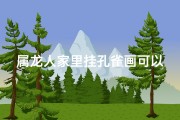 属龙人家里挂孔雀画可以吗;属龙人家挂孔雀画，吉祥如意好运来