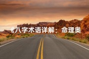 《八字术语详解：命理奥秘一网打尽》