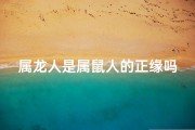属龙人是属鼠人的正缘吗(属龙属鼠，正缘之谜揭晓)