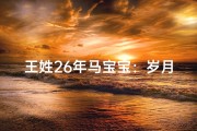 王姓26年马宝宝：岁月如歌，成长新篇章