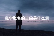息字取名的吉凶是什么意思—息字取名字好不好