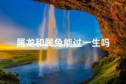 属龙和属兔能过一生吗
