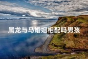 属龙与马婚姻相配吗男孩