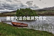 属龙人适合做屏风吗女_属龙女性屏风：风水吉祥之选