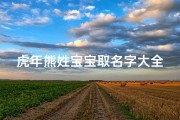 虎年熊姓宝宝取名字大全(彝族都有哪些姓氏 )