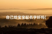自己给宝宝起名字好吗(给宝宝起名给个建议)