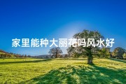 家里能种大丽花吗风水好吗,家里种大丽花风水宜否探讨