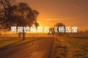 男孩姓杨取名,《杨氏宝宝，传承美好，寓意吉祥》