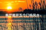 客厅能开五个门吗风水-客厅开五门风水之谜：家居布局的五大禁忌