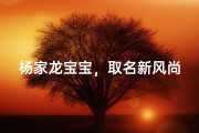 杨家龙宝宝，取名新风尚，双字传佳音