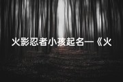 火影忍者小孩起名—《火影萌娃：忍者世界的未来之星》