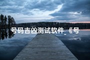 号码吉凶测试软件_《号码吉凶一测便知，揭秘运势密码》