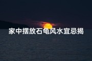 家中摆放石龟风水宜忌揭秘