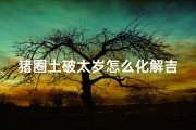 猪圈土破太岁怎么化解吉凶图片,猪圈土破太岁化解吉凶秘法揭晓