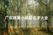广东姓黄小孩起名字大全,《广东黄姓小孩，这些名字你最喜欢哪个？》