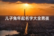 儿子兔年起名字大全男孩(兔年出生男孩取名字大全690个)