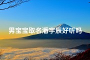 男宝宝取名潘宇辰好听吗(潘晨宇的名字怎么样)