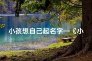 小孩想自己起名字—《小鬼当家：宝贝命名大作战》