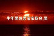 牛年吴姓男宝宝取名;吴家牛年喜添贵子：男女宝宝名字大揭晓