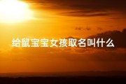 给鼠宝宝女孩取名叫什么