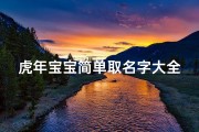 虎年宝宝简单取名字大全(2025虎年取名字大全男孩300个)