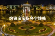 给猪宝宝取名字姓韩