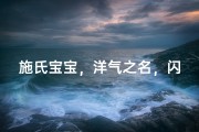 施氏宝宝，洋气之名，闪耀新生