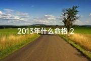 2013年什么命格_2013年命格揭秘：解码青春运势新篇章