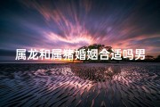 属龙和属猪婚姻合适吗男(属龙男与属猪女：婚姻匹配度揭秘)