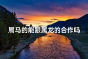 属马的能跟属龙的合作吗—属马人能不能和龙合作