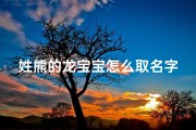 姓熊的龙宝宝怎么取名字男孩、《熊姓龙宝宝，如何取一个吉祥好名字？》