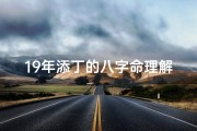 19年添丁的八字命理解释,19年添丁的八字命理解释是什么