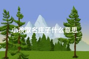 小孩取名庄子什么意思