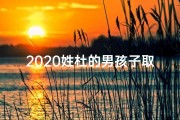 2020姓杜的男孩子取什么名字_《杜姓龙年男宝宝，吉祥如意好名字推荐》