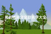 男的姓吴宝宝取名字大全_《吴姓宝宝取名大全：创意精选，寓意美好》