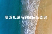 属龙和属马的能白头到老吗_属龙属马能否白头偕老之谜