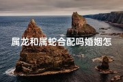 属龙和属蛇合配吗婚姻怎么样(属龙和属蛇相合不合)