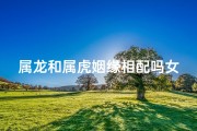 属龙和属虎姻缘相配吗女孩、龙虎缘定：属龙属虎姻缘美满配对
