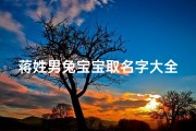 蒋姓男兔宝宝取名字大全(姓蒋男孩名字响亮大方)