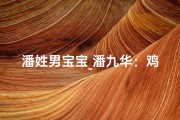 潘姓男宝宝_潘九华：鸡宝宝展翅翱翔，梦想启航之旅