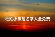 杜姓小孩起名字大全免费