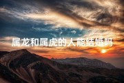 属龙和属虎的人能结婚吗,属龙属虎能结婚吗？相配指数大揭秘