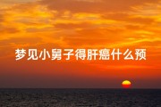 梦见小舅子得肝癌什么预兆(梦见舅舅患癌)