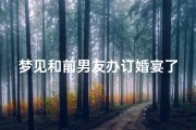 梦见和前男友办订婚宴了;梦见我和前男友订婚