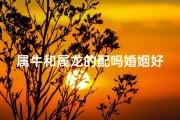 属牛和属龙的配吗婚姻好吗女人