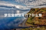 梦见宝剑没开刃了什么预兆、梦见宝剑没开刃了什么预兆解梦