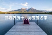 郑姓农历十月男宝宝名字