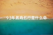 93年男鸡五行是什么命格—1993年属鸡男五行