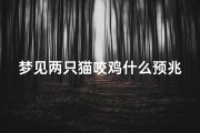 梦见两只猫咬鸡什么预兆—梦见两只猫咬住手甩不掉